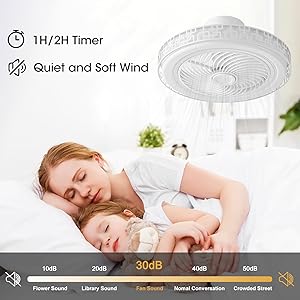 Smart ﻿ Ceiling Fan With Remote Control